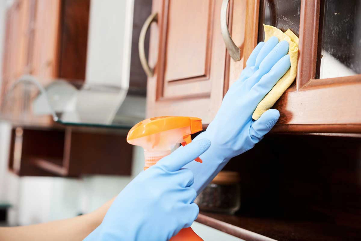 Professional Cleaning Contractor